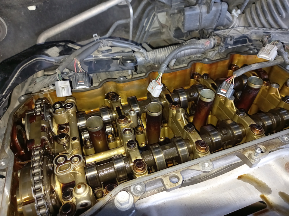 Фото в бортжурнале Toyota Venza (1G)