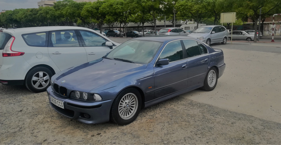Фото в бортжурнале BMW 5 series (E39)