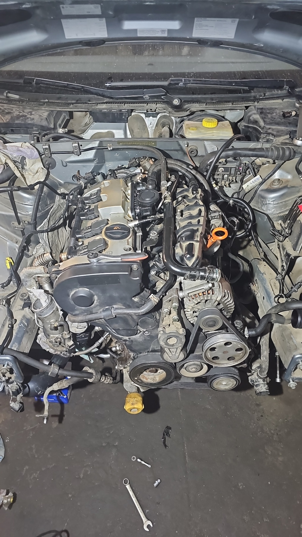 Фото в бортжурнале Audi A4 (B7)