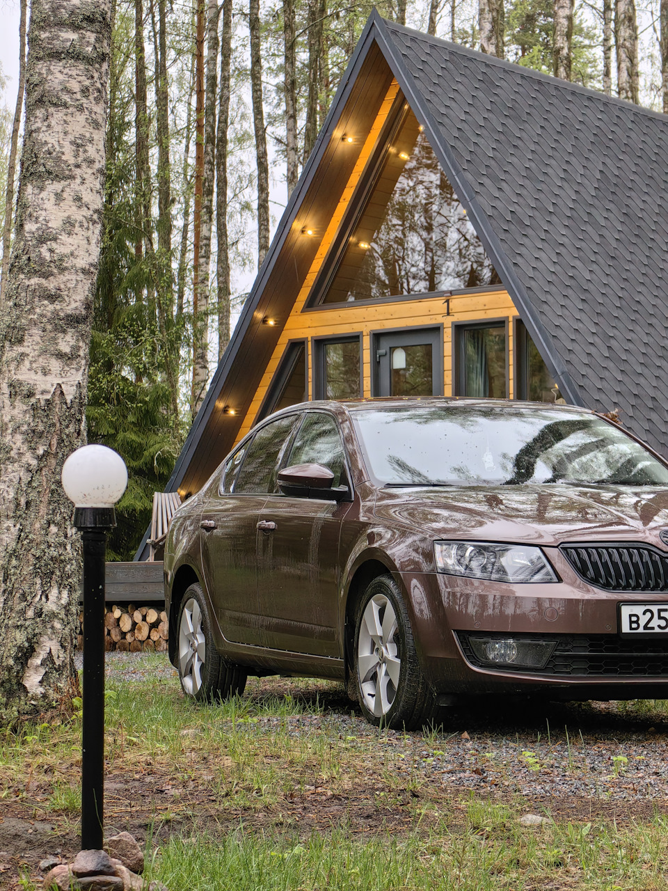 ну нельзя не сфотать)) — Skoda Octavia A7 Mk3