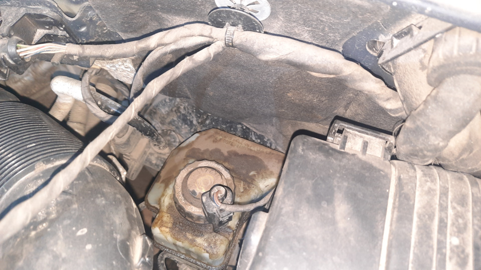 Фото в бортжурнале Volkswagen Tiguan (1G)