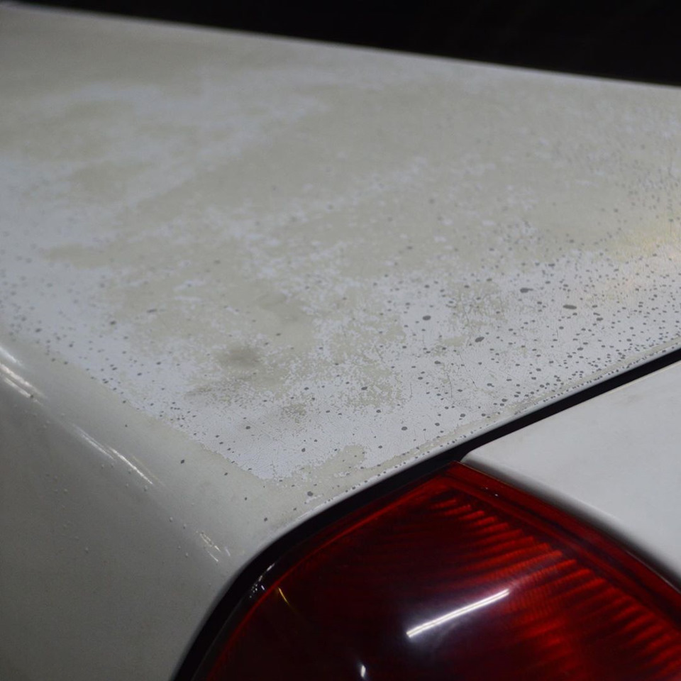 Фото в бортжурнале Mercedes-Benz C-Class (W202)