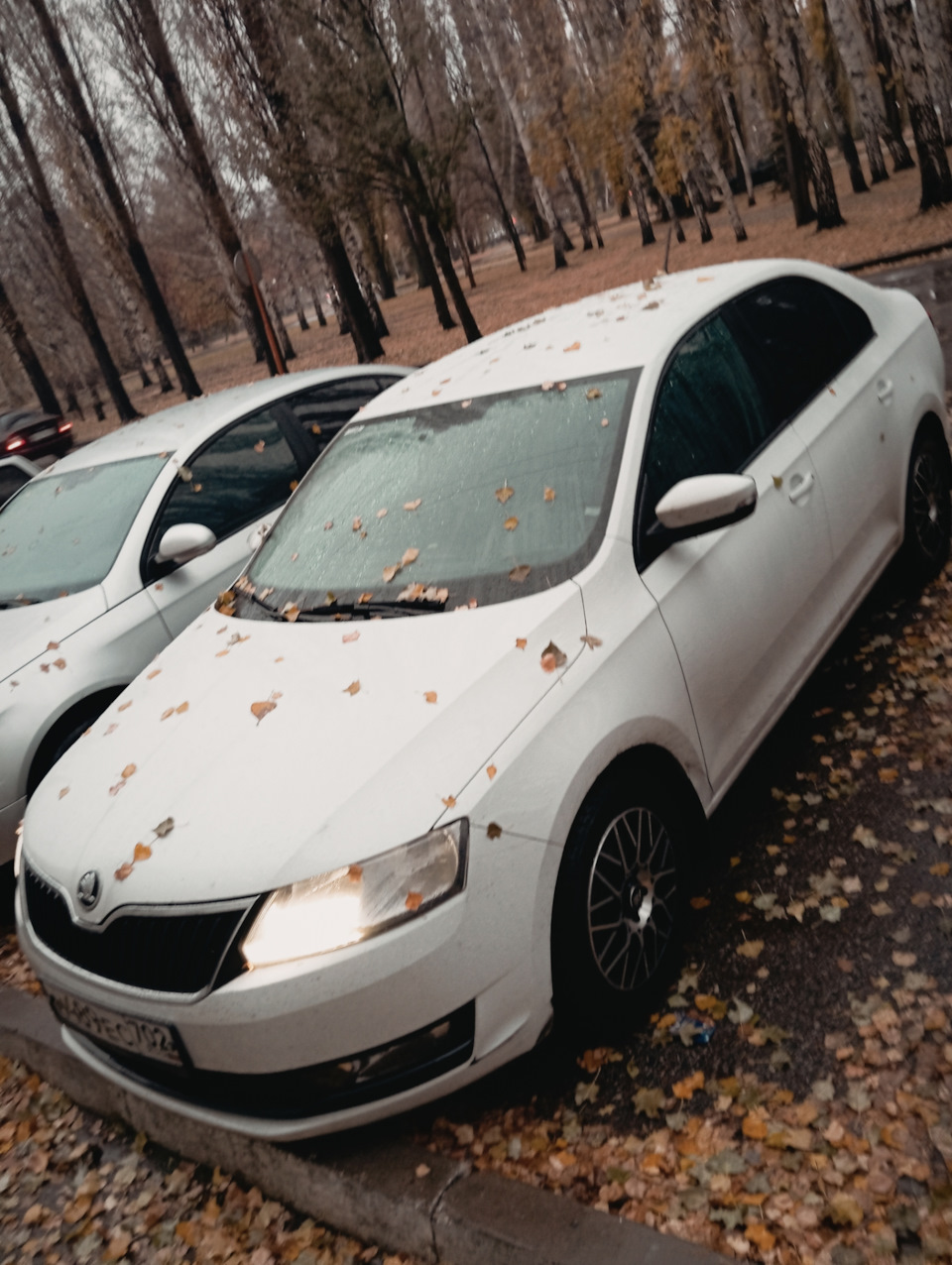 Фото в бортжурнале Skoda Rapid (1G)