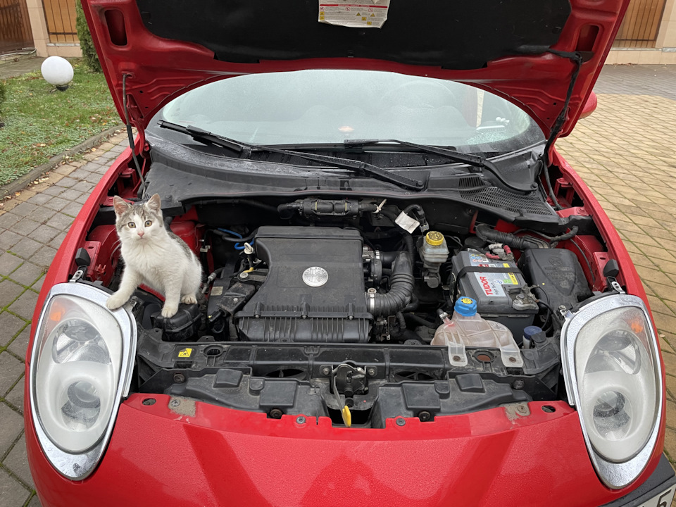 Эксклюзивная опция 😁 — Alfa Romeo MiTo