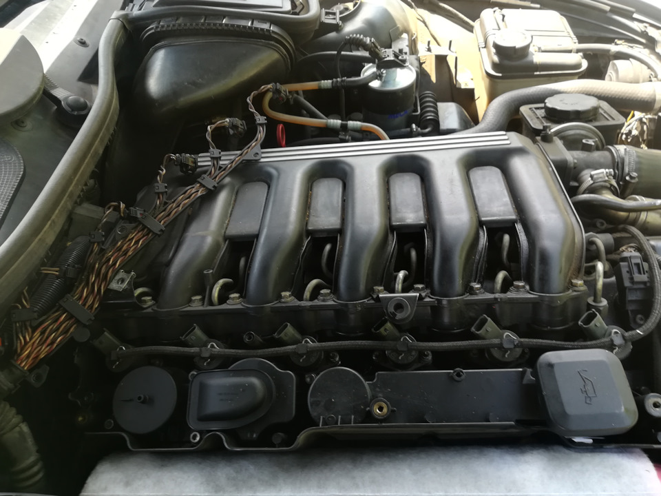 Фото в бортжурнале BMW 5 series (E39)