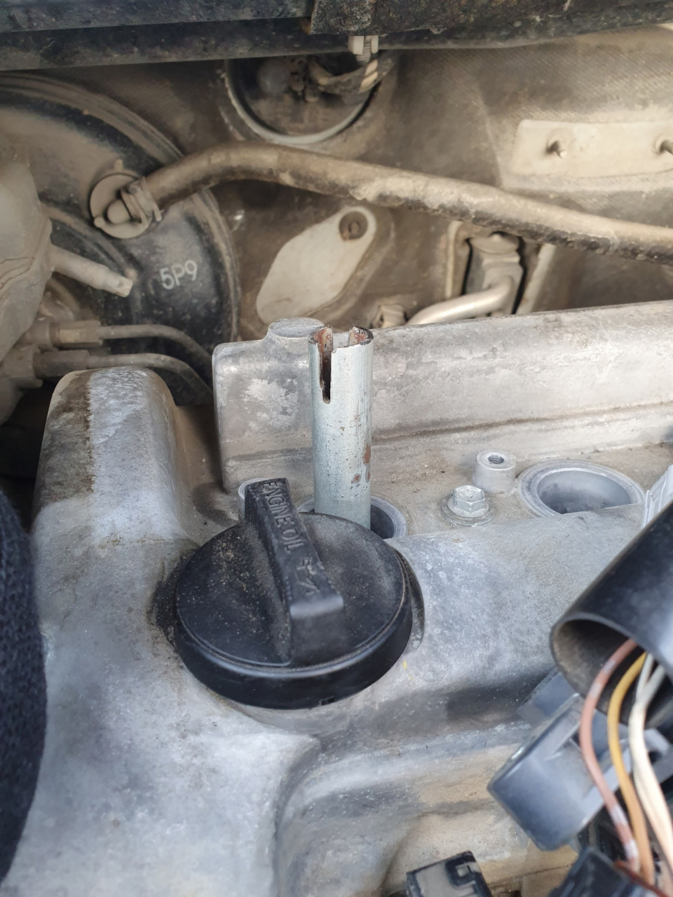 Photo from the logbook Toyota Vitz (130)