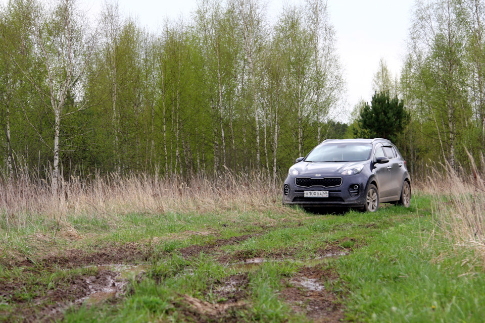 Эта тропка вела к прилипшему тоуарегу на пневме — KIA Sportage (4G)