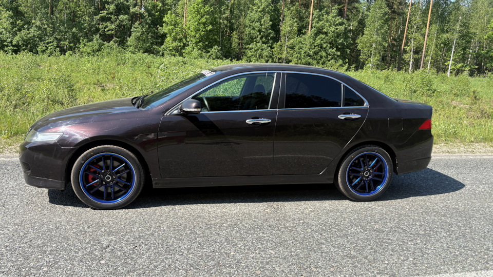 Honda Accord Черный Кофе