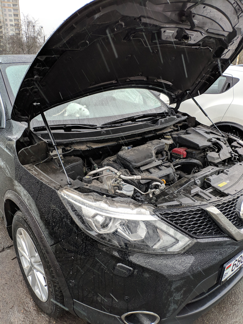 Как-то так на выходе — Nissan Qashqai (2G)
