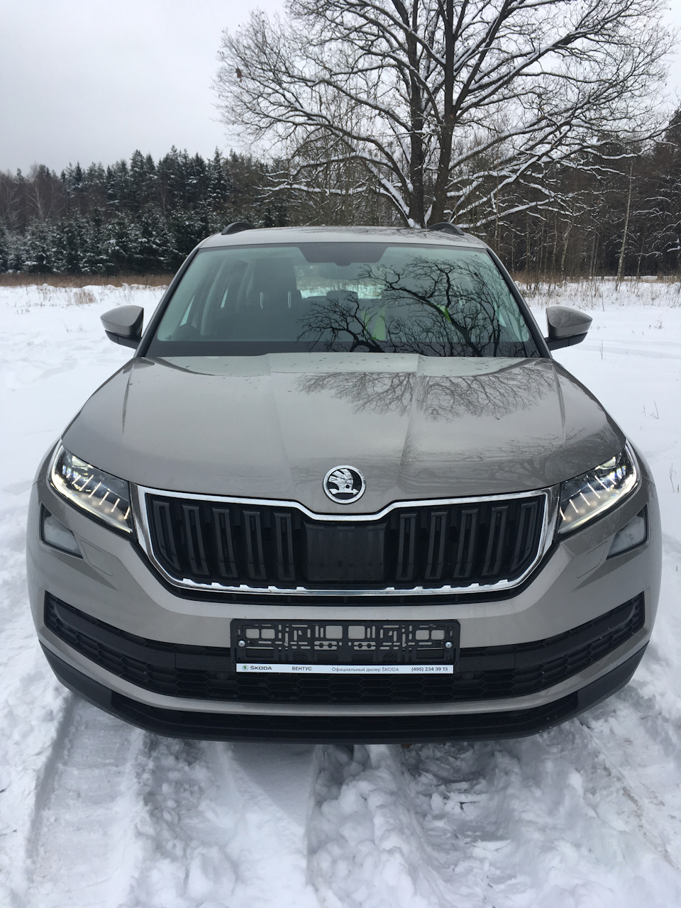 Фото в бортжурнале Skoda Kodiaq (1G)