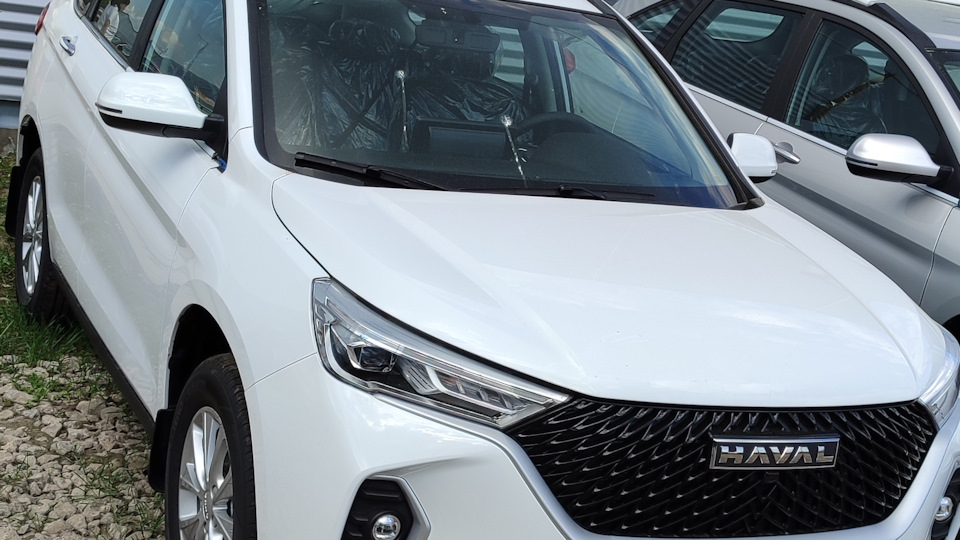 Haval M6 Белый мишка