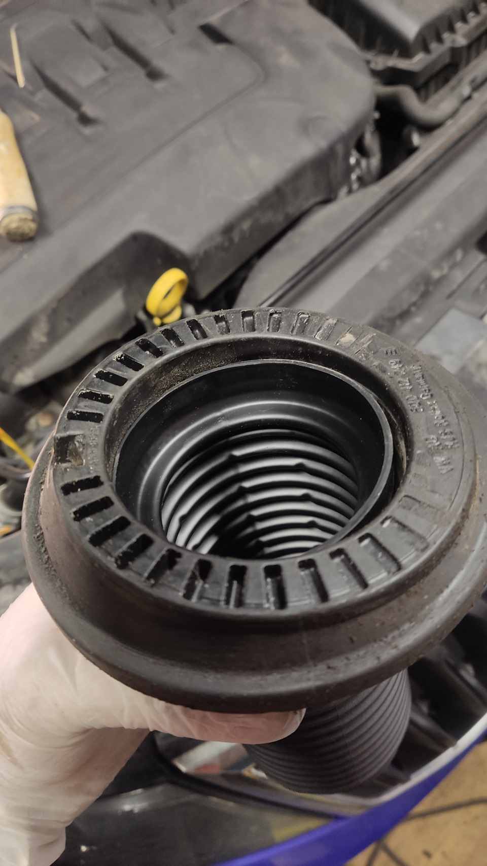 Фото в бортжурнале Skoda Octavia Combi A7 Mk3
