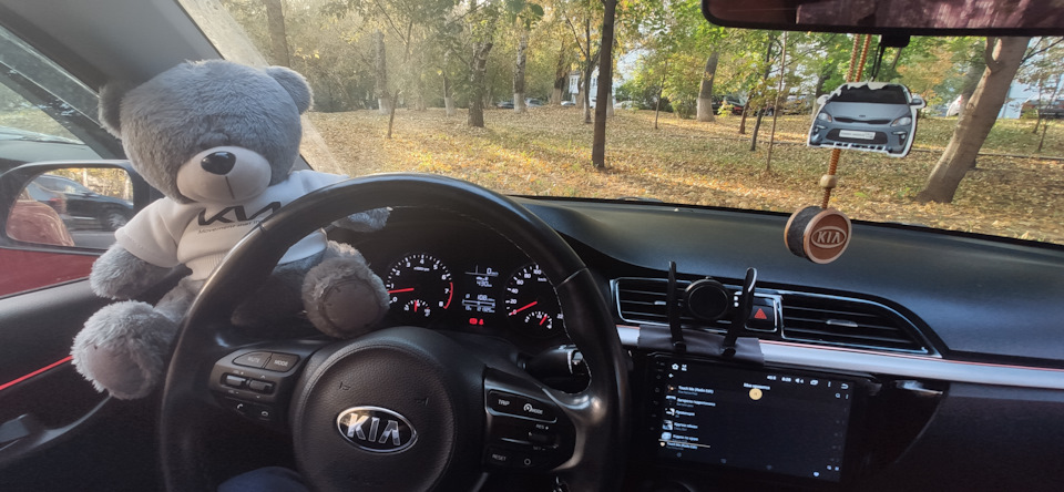 Встречаем осень с Медведем Стингером — KIA Rio (4G)