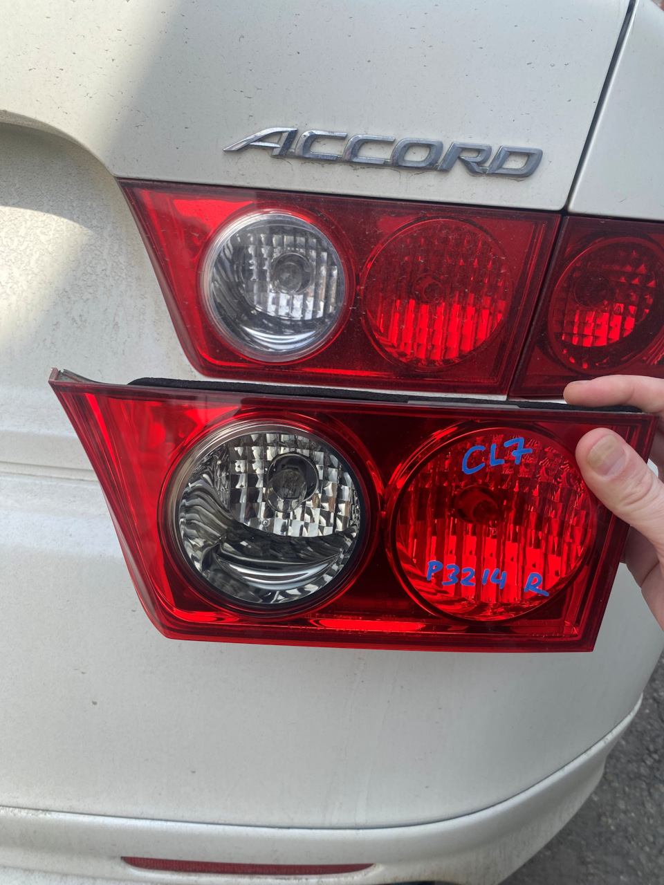 Топовая и редкая оптика от дореста — Honda Accord (7G)