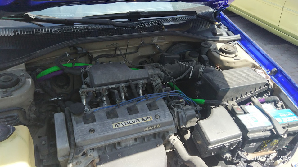 Теперь эти змею живут здесь) — Toyota Carina E