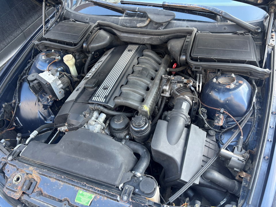 Фото в бортжурнале BMW 5 series (E39)