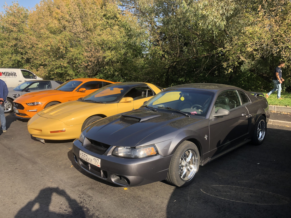 Фото в бортжурнале Chevrolet Malibu (8G)