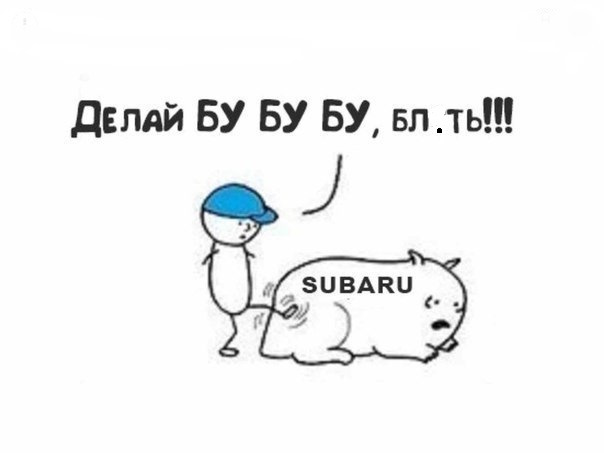 Фото в бортжурнале Subaru Outback (BP)