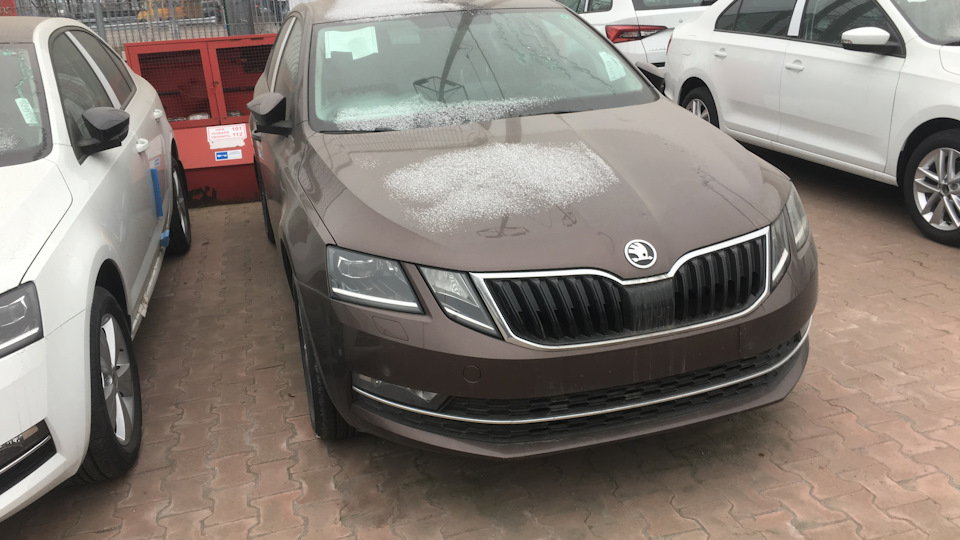 Skoda Octavia