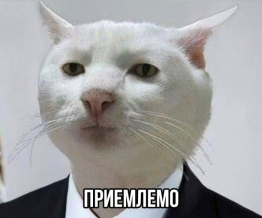 Фото в бортжурнале KIA K3