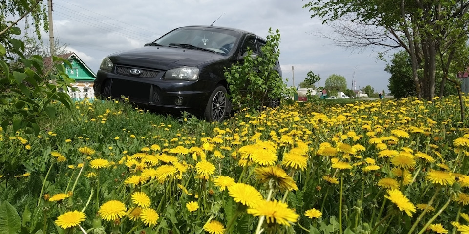 Фото в бортжурнале Lada Калина Универсал (1G)
