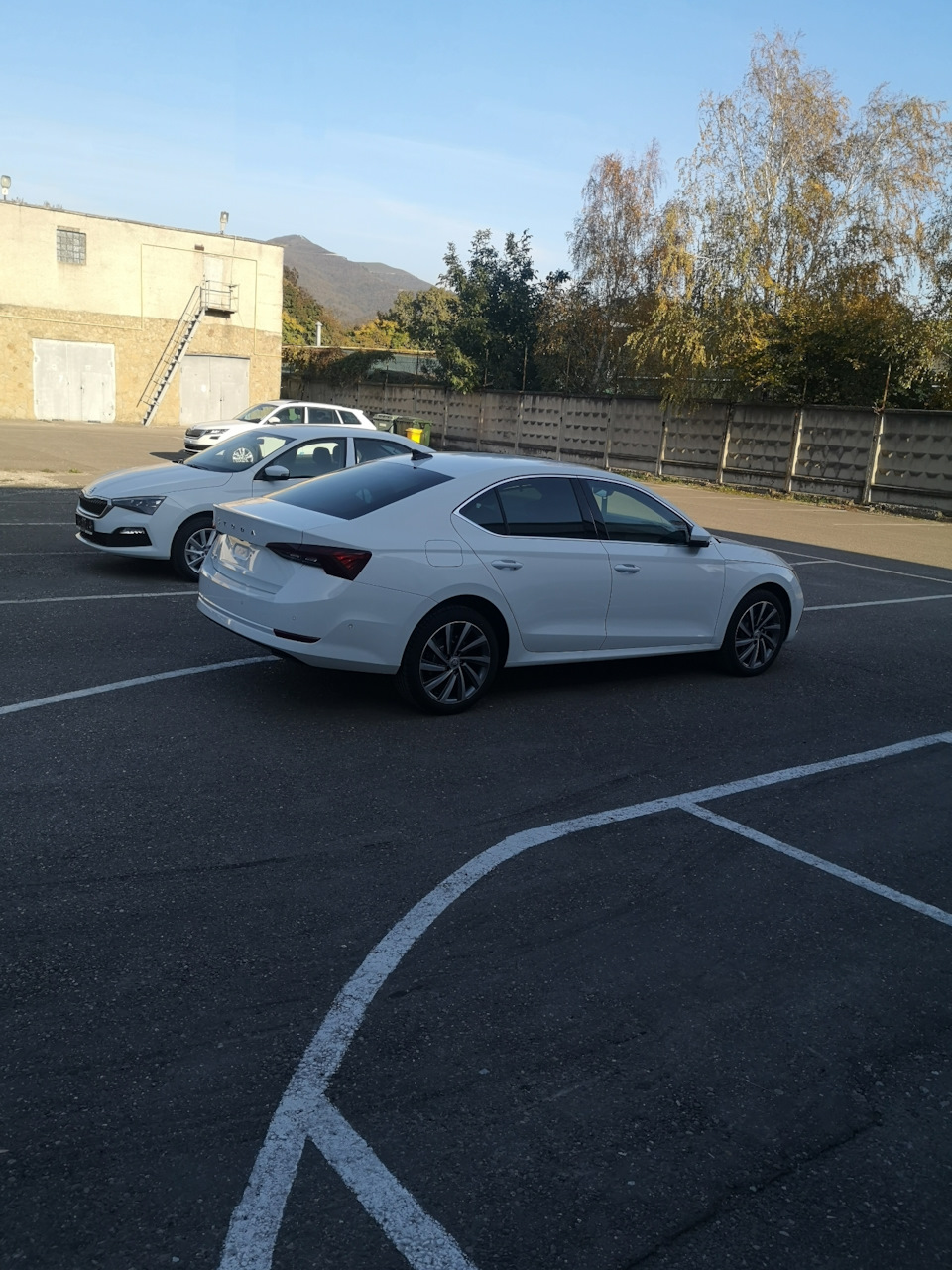 Фото в бортжурнале Skoda Octavia A7 Mk3