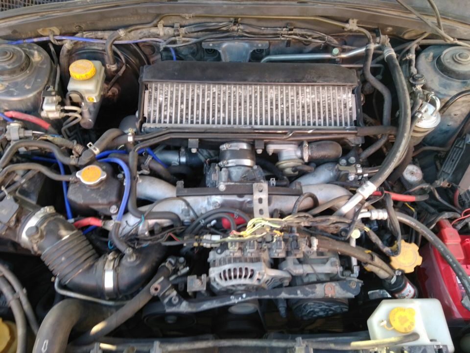 Фото в бортжурнале Subaru Forester (SG)