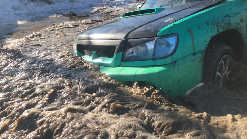 Фото в бортжурнале Subaru Forester (SF)