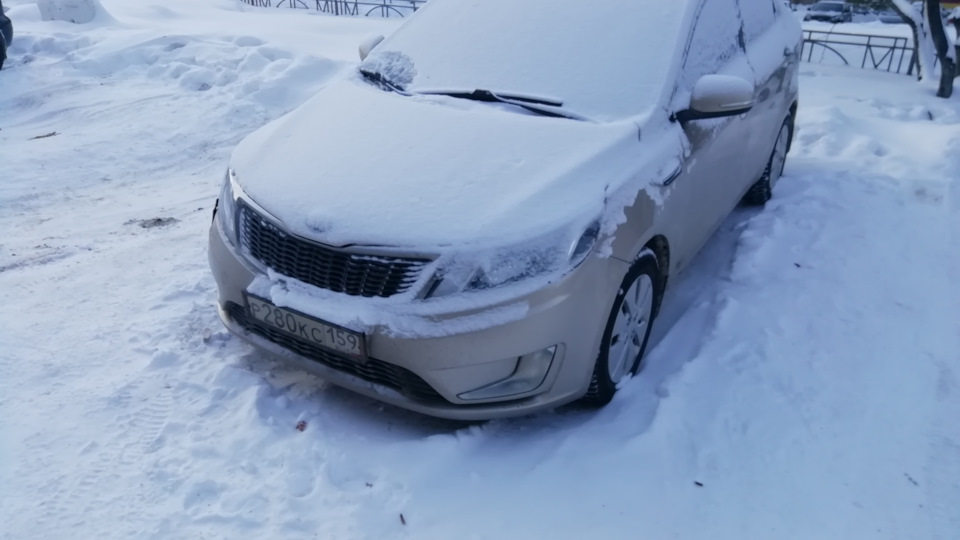 KIA Rio