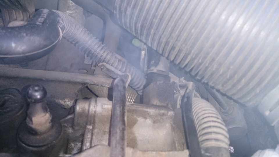 Фото в бортжурнале Volkswagen Passat CC