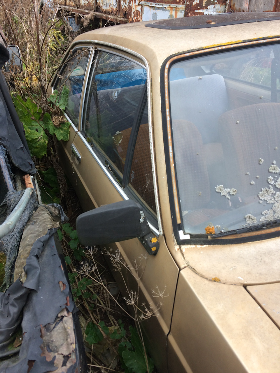 Фото в бортжурнале Ford Escort Mk2