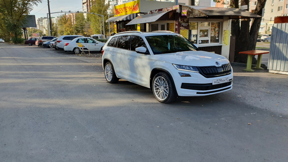 Skoda Kodiaq Белый медвежонок.