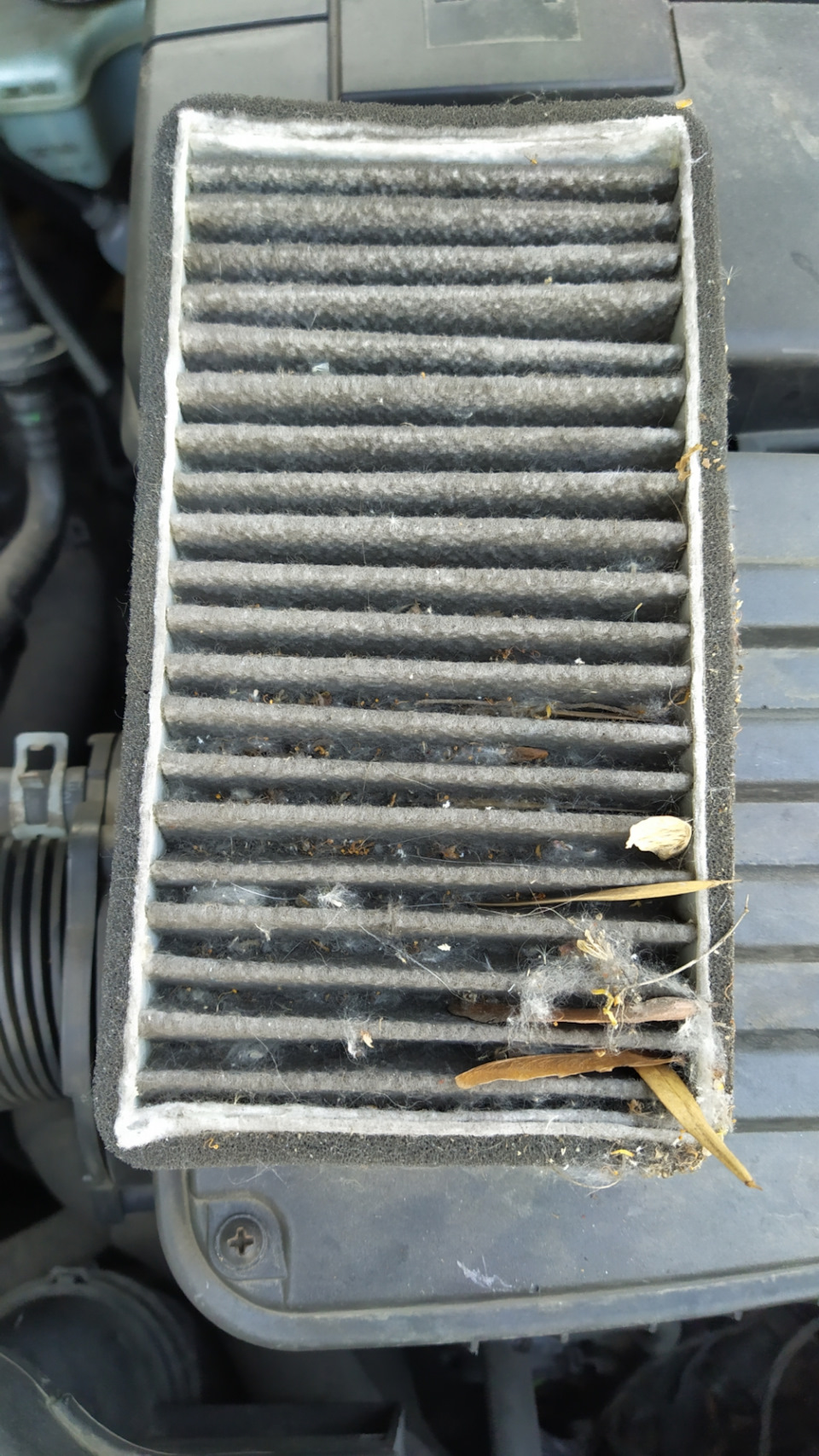 Фото в бортжурнале Skoda Octavia A5 Mk2