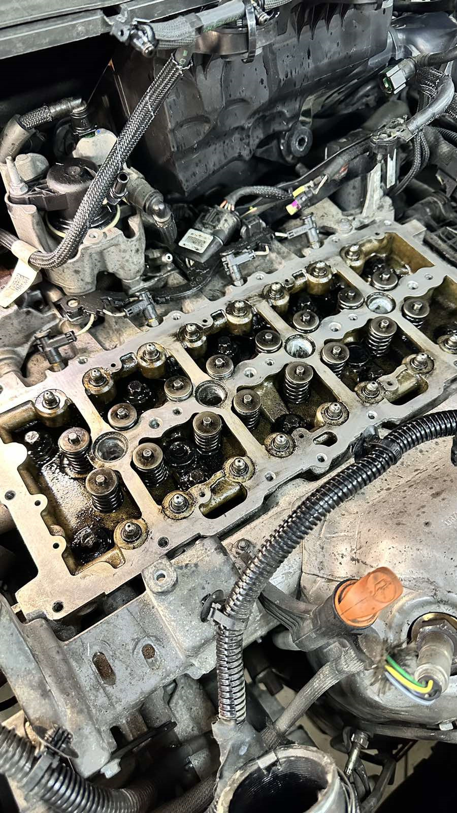 Фото в бортжурнале Peugeot 308 SW (2G)