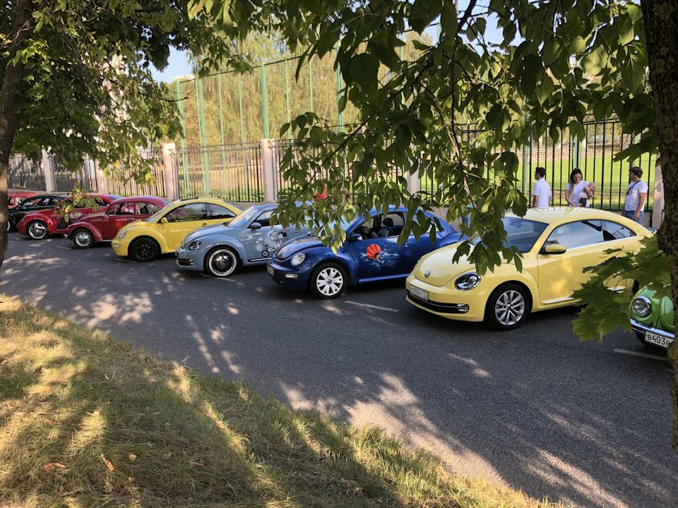 Фото в бортжурнале Volkswagen Beetle (A5)