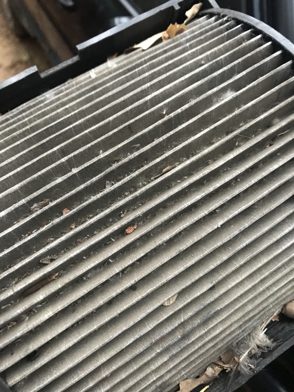 Фото в бортжурнале Volkswagen Jetta II