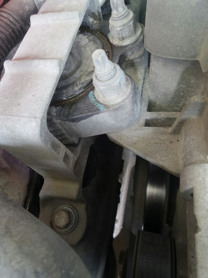 Фото в бортжурнале Ford Focus Sedan II