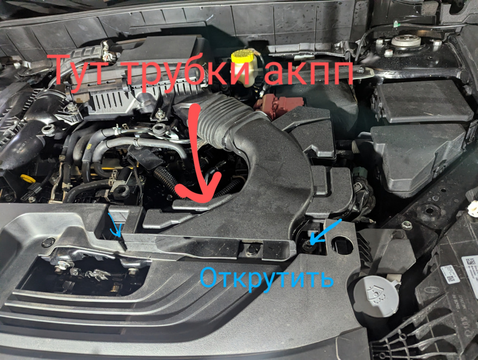 Фото в бортжурнале Infiniti QX50 (2G)