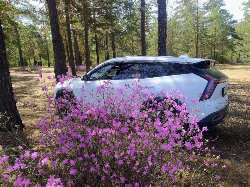 Photo from the logbook Geely Atlas (2G)