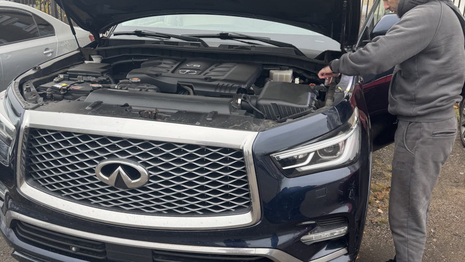 Infiniti QX80