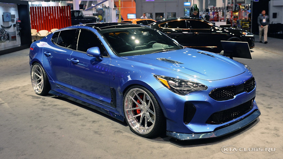Фото в бортжурнале KIA Stinger