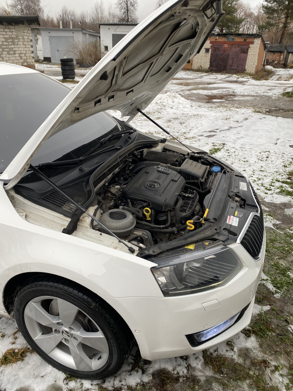 Фото в бортжурнале Skoda Octavia A7 Mk3