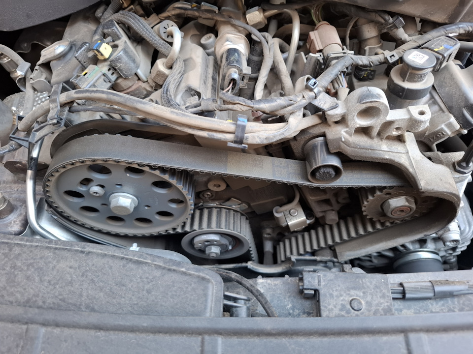 Фото в бортжурнале Audi A4 (B9)