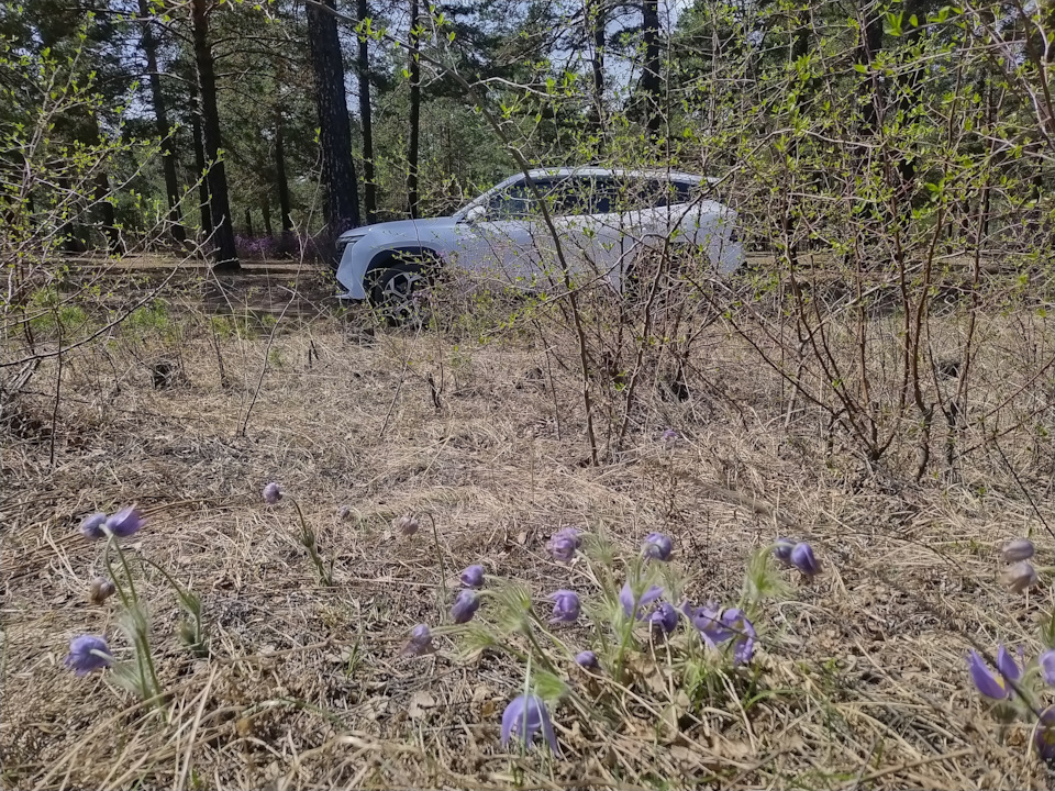 Photo from the logbook Geely Atlas (2G)
