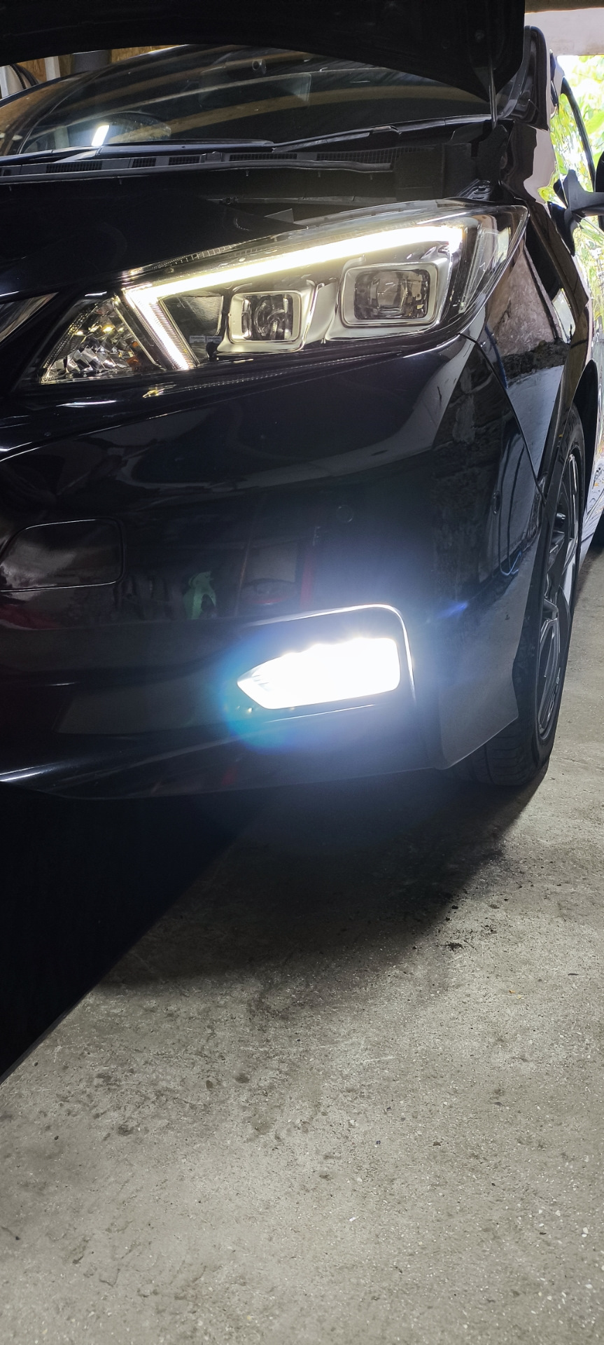 Фото в бортжурнале Nissan Leaf (2G)