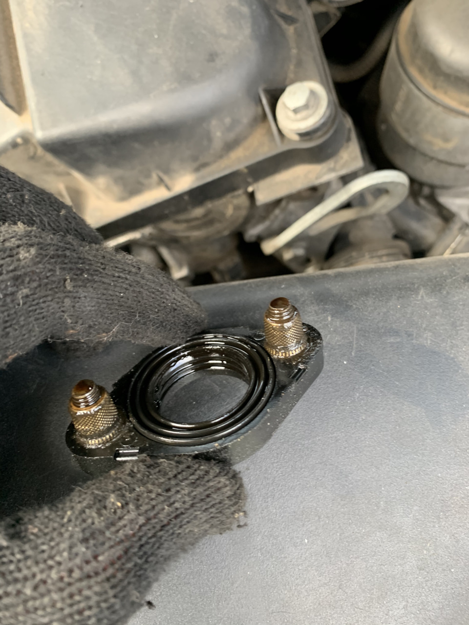 Фото в бортжурнале BMW 1 series (E81/E87)