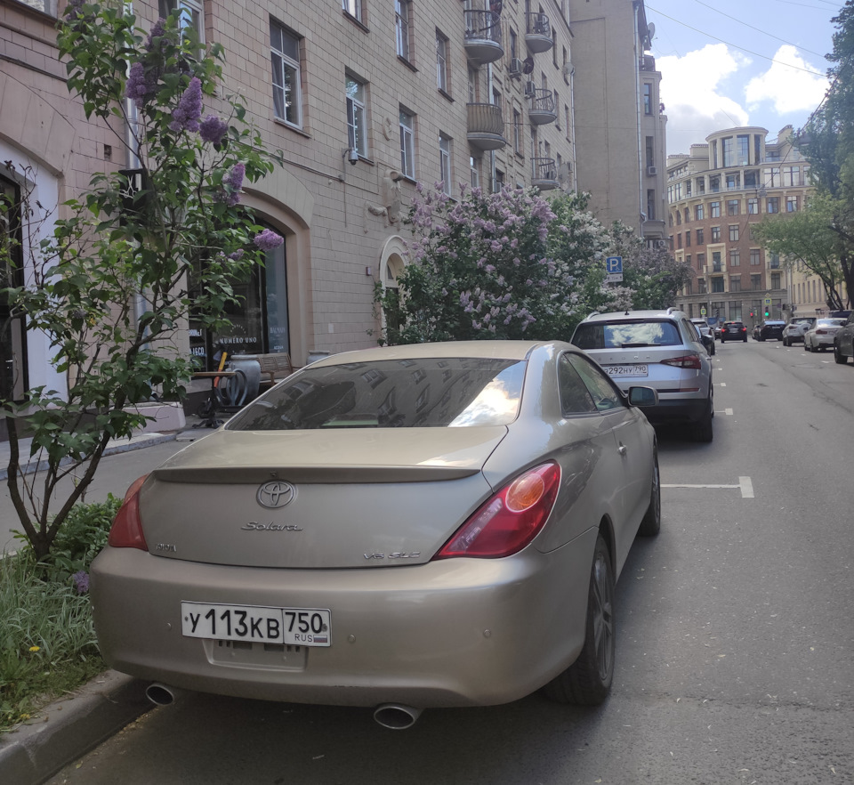 Дорогуша и сирень — Toyota Solara II