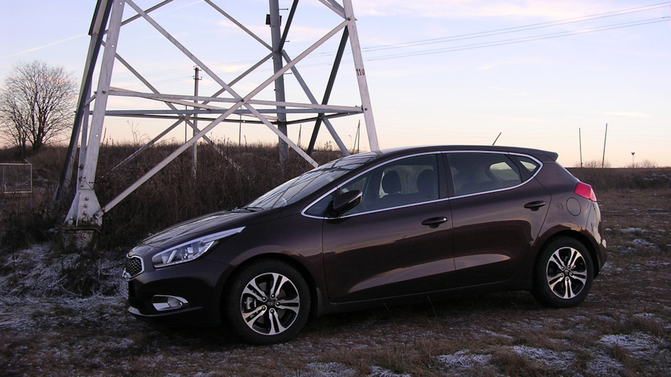 KIA Ceed _Мистер Браун