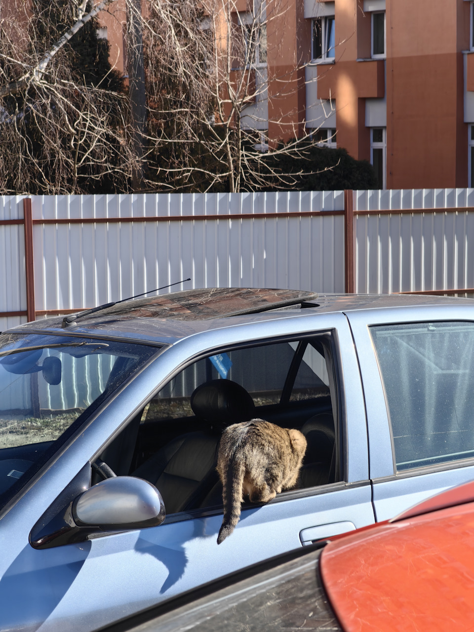 Фото в бортжурнале Peugeot 406