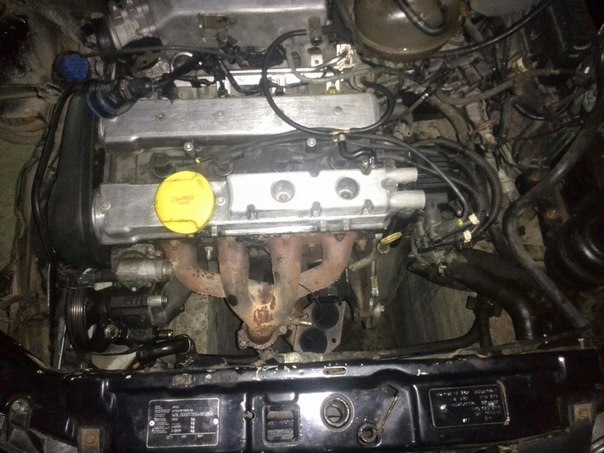 Фото в бортжурнале Opel Tigra